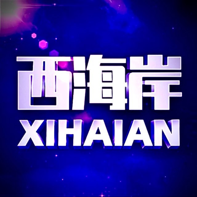西海岸 28台