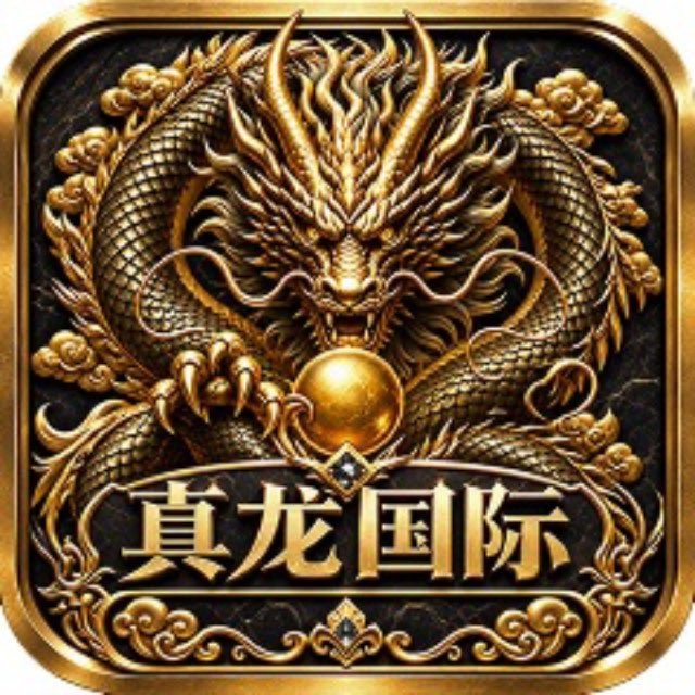 真龙 28台